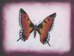 Graffiti Butterfly Art
