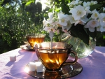 Jasmine flowers and tea