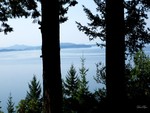 Chuckanut Drive Twins