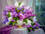 Lilac in the window