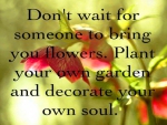 Plant your own garden