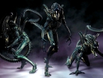 Xenomorphs