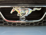 2003 Ford Mustang Logo