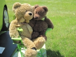 Teddy Bears at the car show