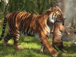 Tigers