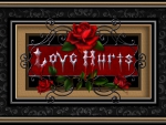 âœ«LOVE HURTSâœ«