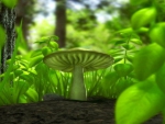 TRIPPY MUSHROOM