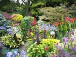 Beautiful Garden