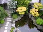 Fish Pond in Your Garden
