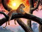 Cheetah on Tree