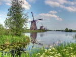 kinderdijk-holland