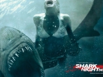 SHARK NIGHT