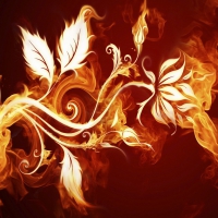 Best Abstract Wallpaper