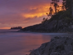 Tofino Sunset