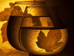 AUTUMN GLASS