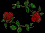 red roses