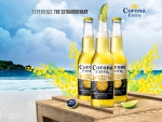 Corona Extra Beer