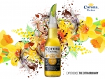 Corona Extra Beer