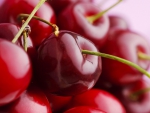SWEET RED CHERRIES