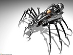 Dark Spider