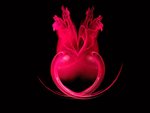 heart fractal