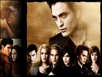 Twilight - New Moon