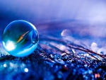 NATURES CRYSTAL BALL