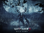 The Witcher 3 : Wild Hunt