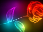 Glowing Rose