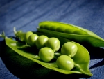 MACRO OF GREEN PEAS