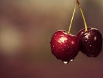 LOVELY BING CHERRIES