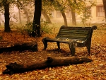RESTING PLACE IN AUTUMN PARK