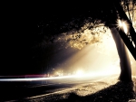ROAD TOWARDS NIGHT