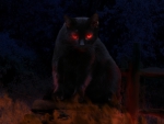 Cat from Hell