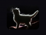 Kitten Silhouette