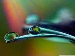 COLORFUL DROPS