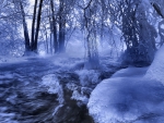 cold blue forest