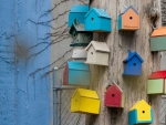 Bird Houses