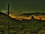 wonderful mexican desert in green hue hdr