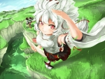 momiji