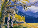 Grey owl