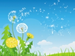 Flight of the Dandelions