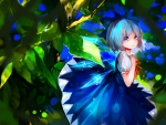~Cirno~