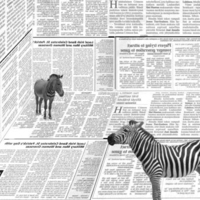 What's Black & White & Striped All Over?