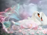 Fractalius Swan