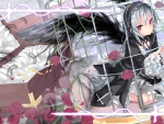 Beauty Suigintou