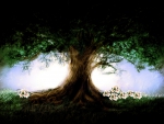 Magic Tree