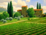 A view from the Tuscan countryside