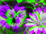 Purple flowers in 3D