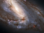 Large Spiral Galaxy